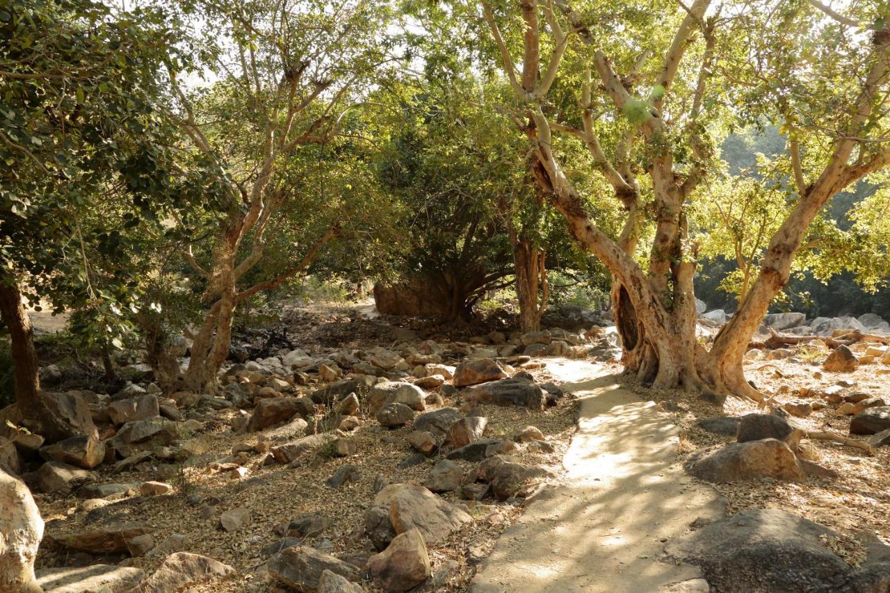 Bijapur Lodge Jawai Kültér fotó